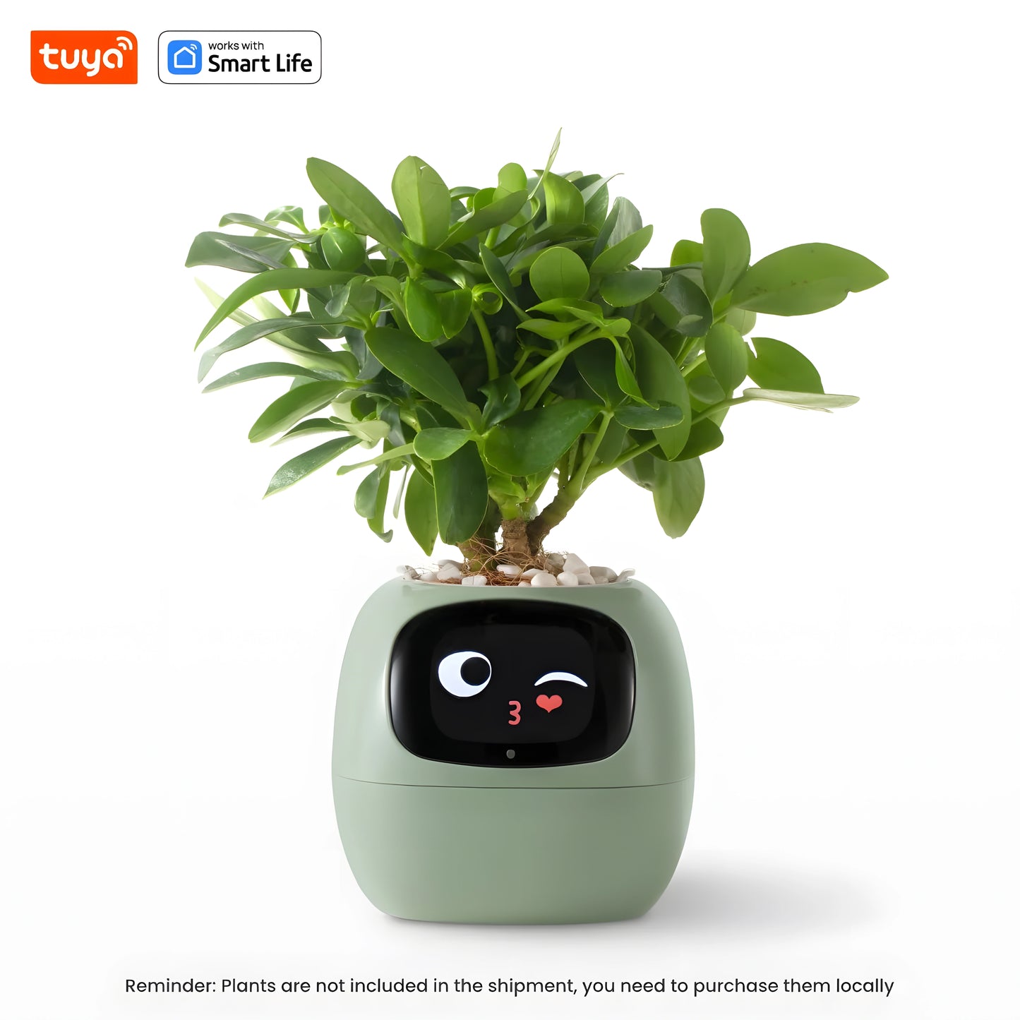 Ivy - Smart planter