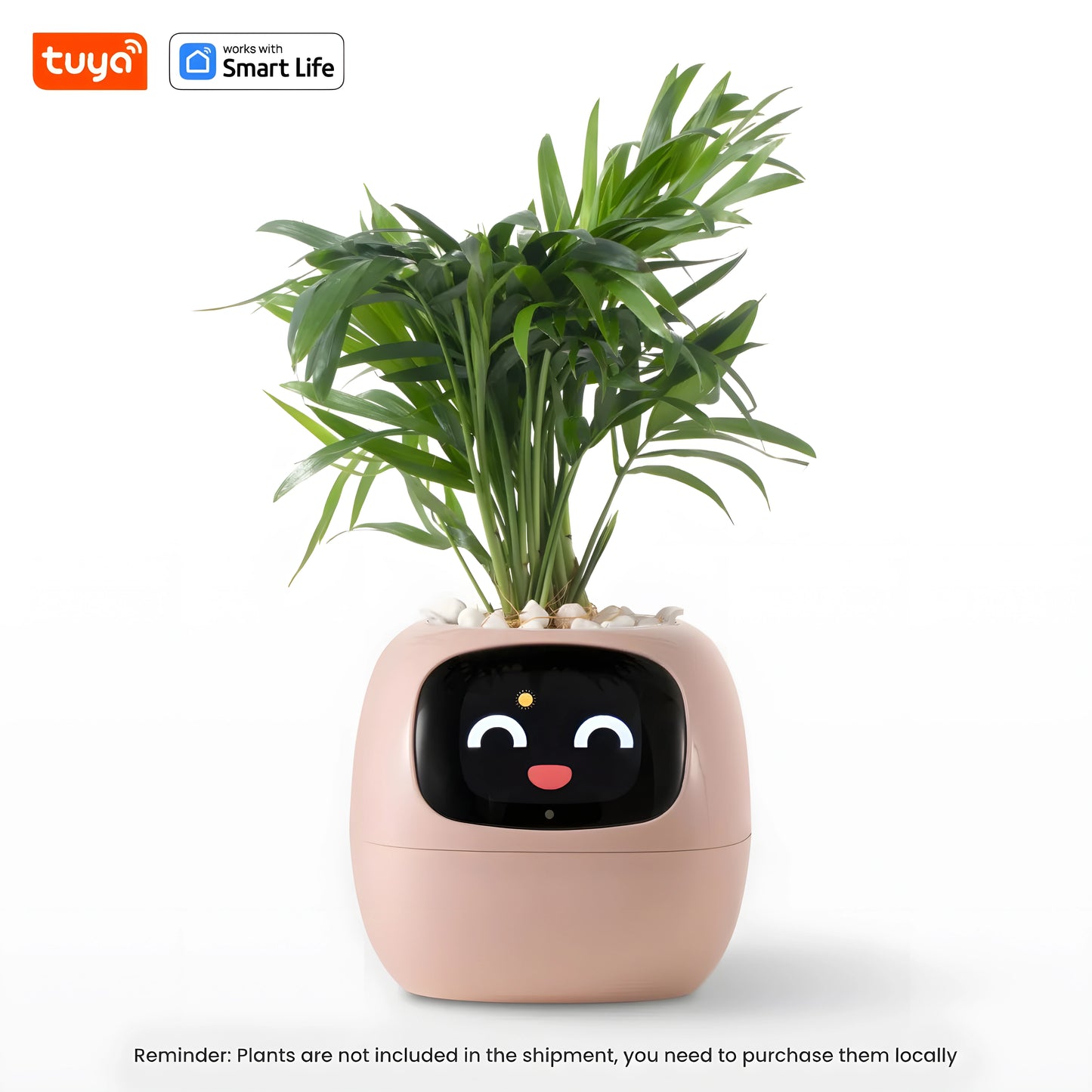 Ivy - Smart planter