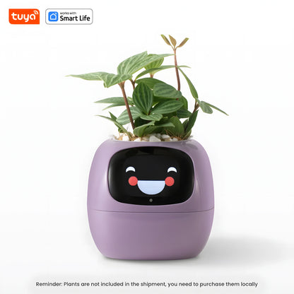 Ivy - Smart planter