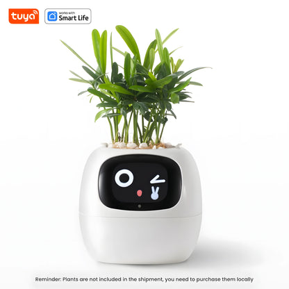 Ivy - Smart planter