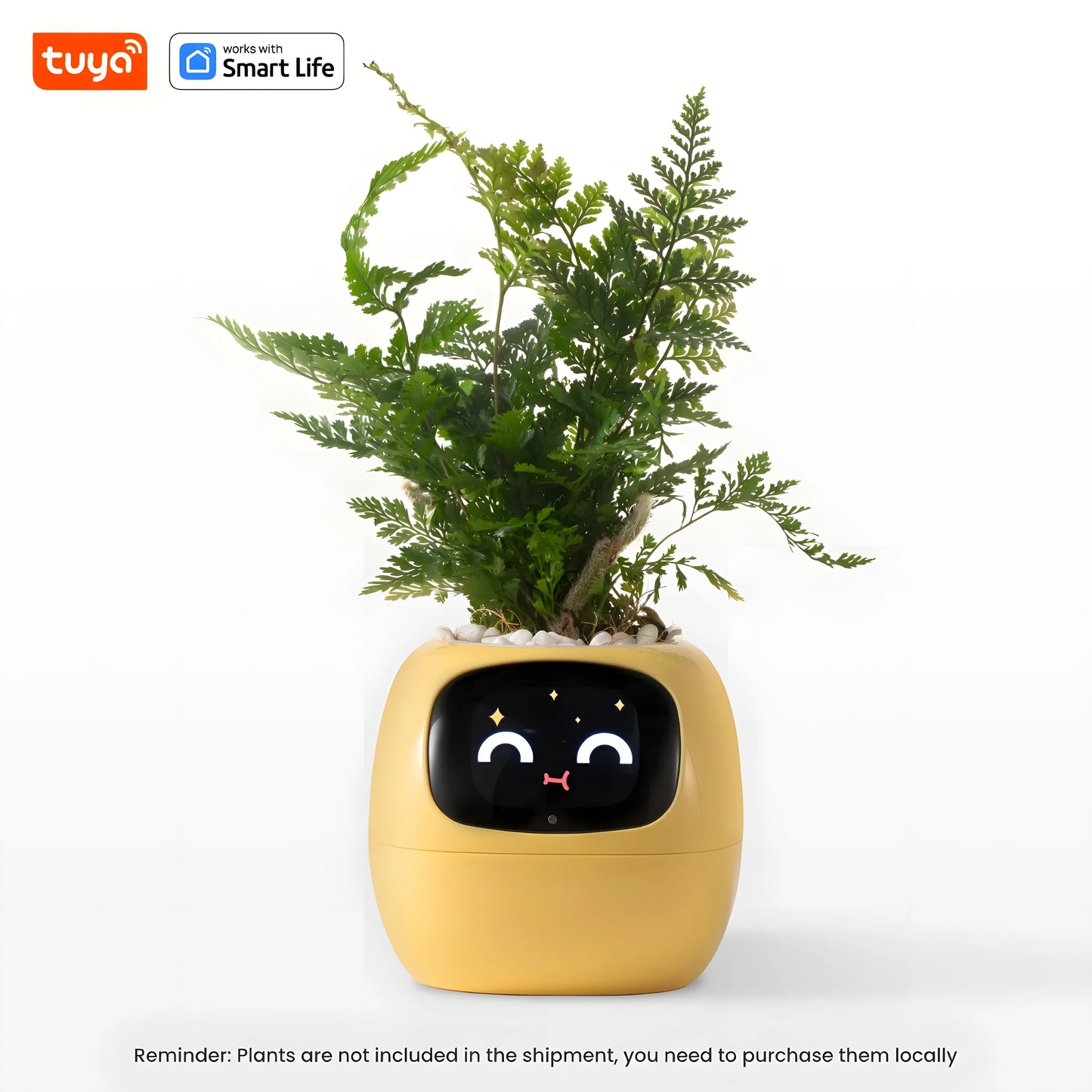 Ivy - Smart planter