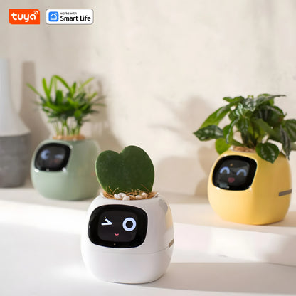 Ivy - Smart planter